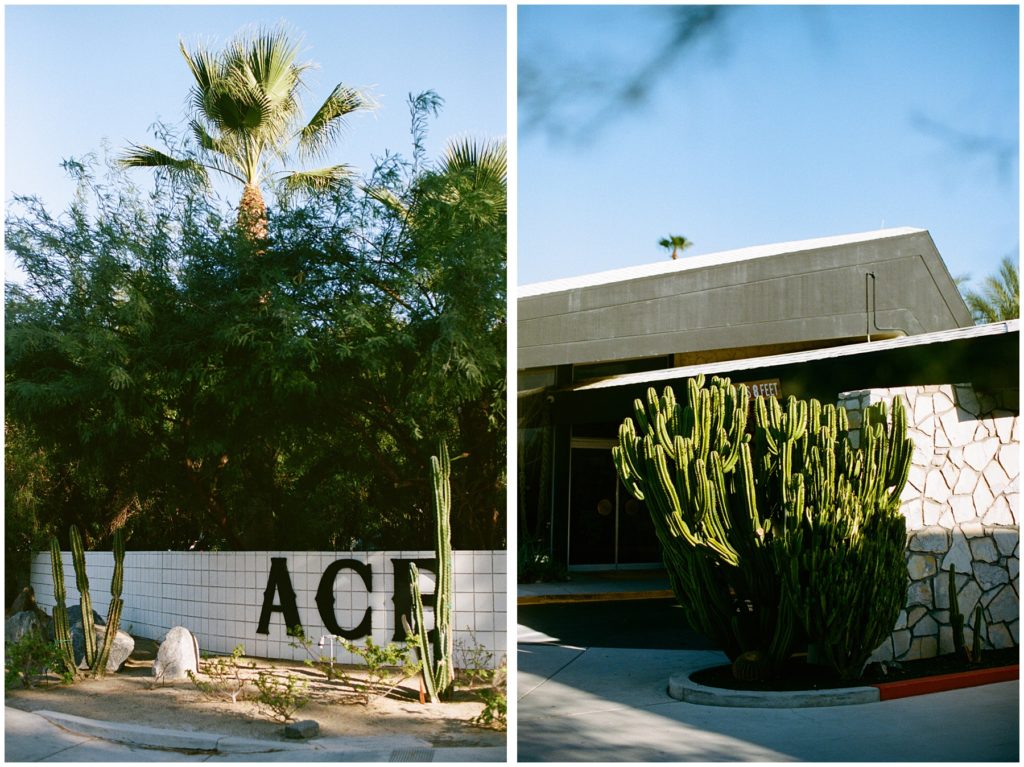 The ACE Hotel Palm Springs exterior shot